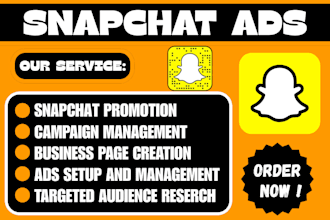 create snapchat ads campaign business page account manager conversion tracking