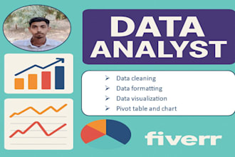 do fast and accurate ,data leaning,  visualization, formatting, pivot table