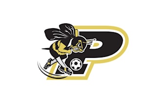 design good looking customized soccer logo