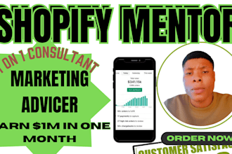 shopify dropshipping consultant mentor coaching tutor ecommerce expert