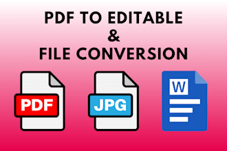 provide editable pdf document correction and file conversion