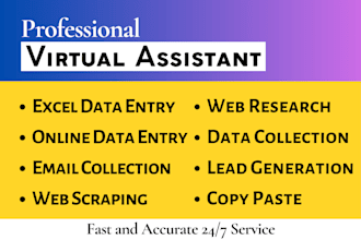 va for excel data entry email collection web scraping research copy paste