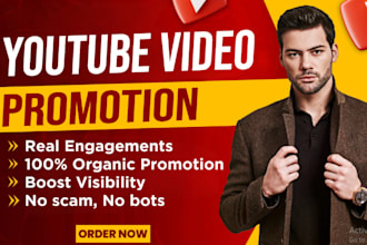 do USA youtube channel promotion for subscribers and engagement, video