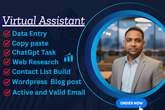 be a virtual assistant for admin support, social media, wordpress, chatgpt, more
