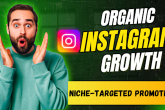 organic instagram promotion with niche targeted followers