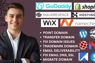 connect godaddy domain dns to shopify, cloudflare, systeme io, squarespace, wix