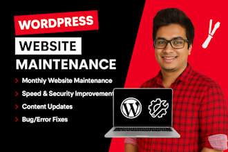 fix wordpress errors, maintain your website, and provide expert wp support