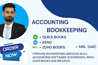 provide professional bookkeeping services with quickbooks, xero zoho or excel