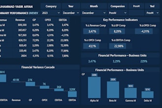 provide financial reporting, advisory, bookkeeping, dashboards and audit support