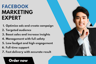 be your facebook marketing expert and run targeted ad campaigns