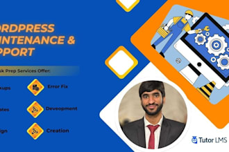 provide expert monthly wordpress maintenance support