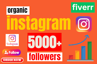 instantly get 5000 real instagram followers
