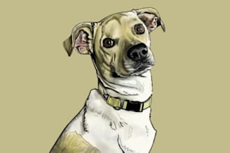 draw pet illustration, cat, dog portrait, cute cartoon, chibi character, mascot