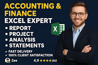 do accounting and finance assignment, financial statement analysis, excel report
