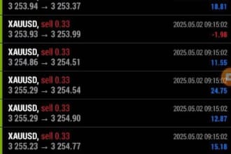 install a forex trading robot, forex ea, forex ea bot