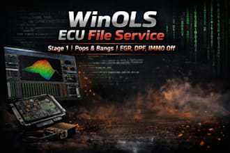 do winols ecu tuning file service