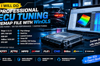 do professional ecu tuning remap file with winols