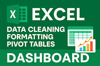 clean, format, create pivot table and dashboard on excel data