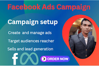 set up a facebook ads campaign for leads and sales increase