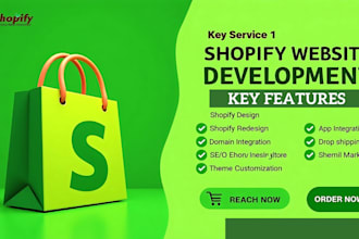 revamp clone design shopify website redesign shopify bug fixing store design