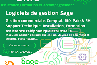 sage 100 et erp