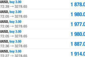 code profitable automated forex trading robot forex ea gold bot scalping bot