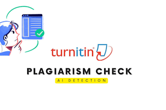 provide professional ai and plagiarism check