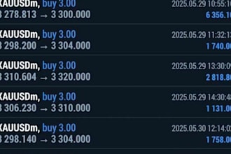 setup profitable forex robot automated ea scalping bot gold robot expert advisor