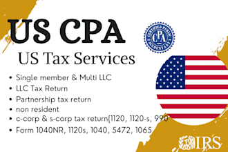 prepare and file US partnership, non resident tax, llc tax,1065, 1040nr, 1120s