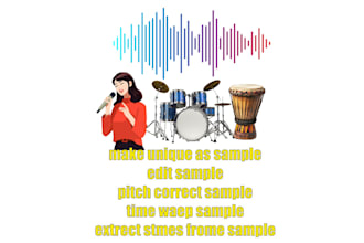 professionally remove any loop beat or audio track