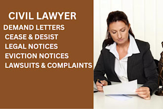 draft legal documents, demand letter, cease and desist and lawsuits