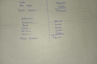 prepare a balance sheet, profit and loss statements