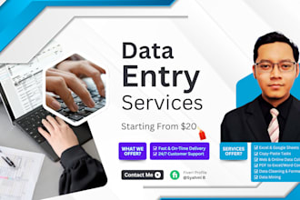 do precise data entry
