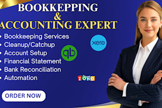 do setup catchup accounting and bookkeeping through quickbooks xero zoho book