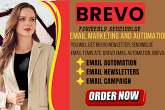 set up brevo email automation, newsletters, and campaigns