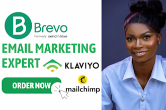 design mailchimp brevo klaviyo email marketing template newsletter