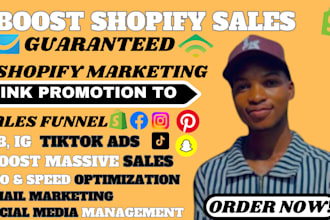 boost shopify sales, do ecommerce shopify marketing, shopify store promotion