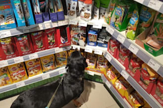 promote, generate and get sales to your pet store, pet product, animal website