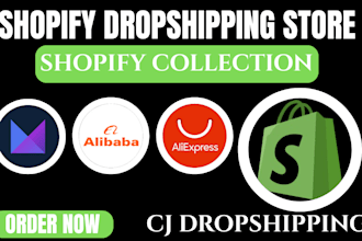 build shopify  dropshipping store shopify collection modalyst cj dropshipping