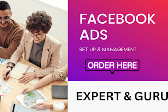 setup facebook ads and instagram ads meta fb ad campaigns for leads and sales