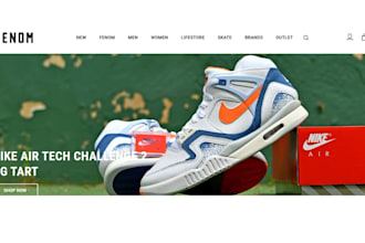 design shopify sneaker store, sneaker website, sneaker dropshipping store