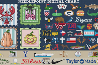 draw cross stitch and needlepoints pattern