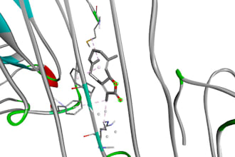 perform protein ligands interaction and admet analysis