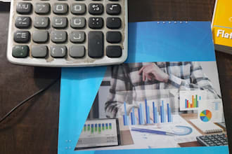 professionally provide finance and accounting services