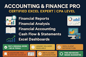 do accounting, finance assignment, financial statement analysis and excel report