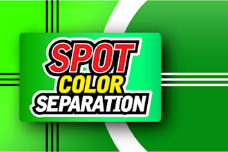 provide professional spot color separation for screen print