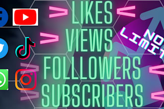 increase followers of your tiktok,ig,youtube,fb within a day