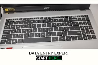 do fast and accurate data entry in excel or word