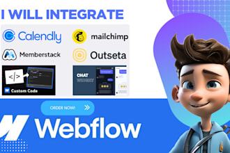 integrate third party tools into your webflow website