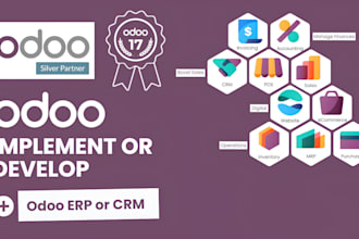 be your odoo erp functional consultant